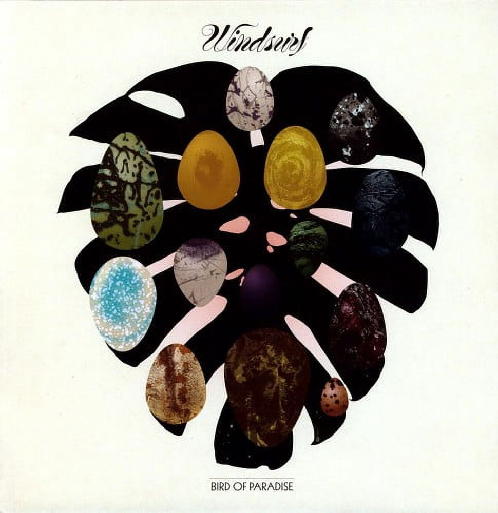 Windsurf - Bird Of Paradise - Music & Performance - Vinyl