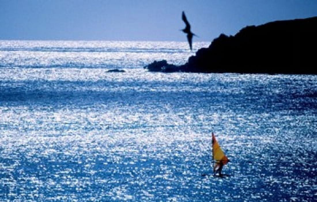 Windsurfer in the sea Sint Maarten Netherlands Antilles Canvas Art - Panoramic Images (36 x 23)