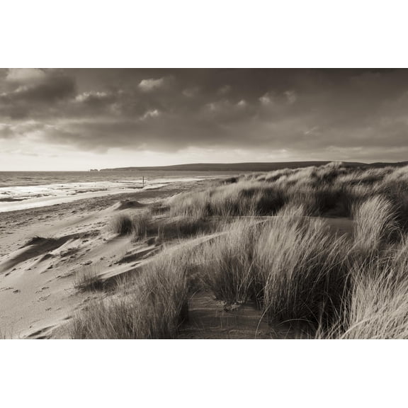 Art.com Windswept Sand Dunes on the Beach at Studland Bay, with Views Towards Old Harry Rocks, Dorset Photographic Print by Adam Burton, 36" x 24"