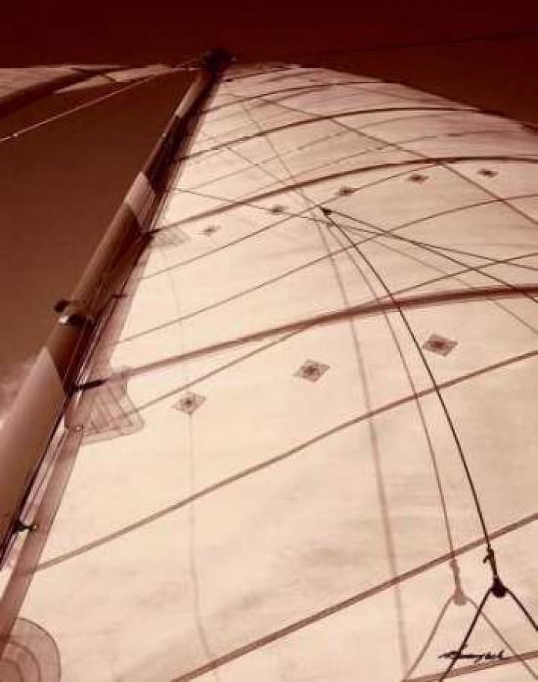 Windward Sail I Canvas Art - Alan Hausenflock (24 x 30)