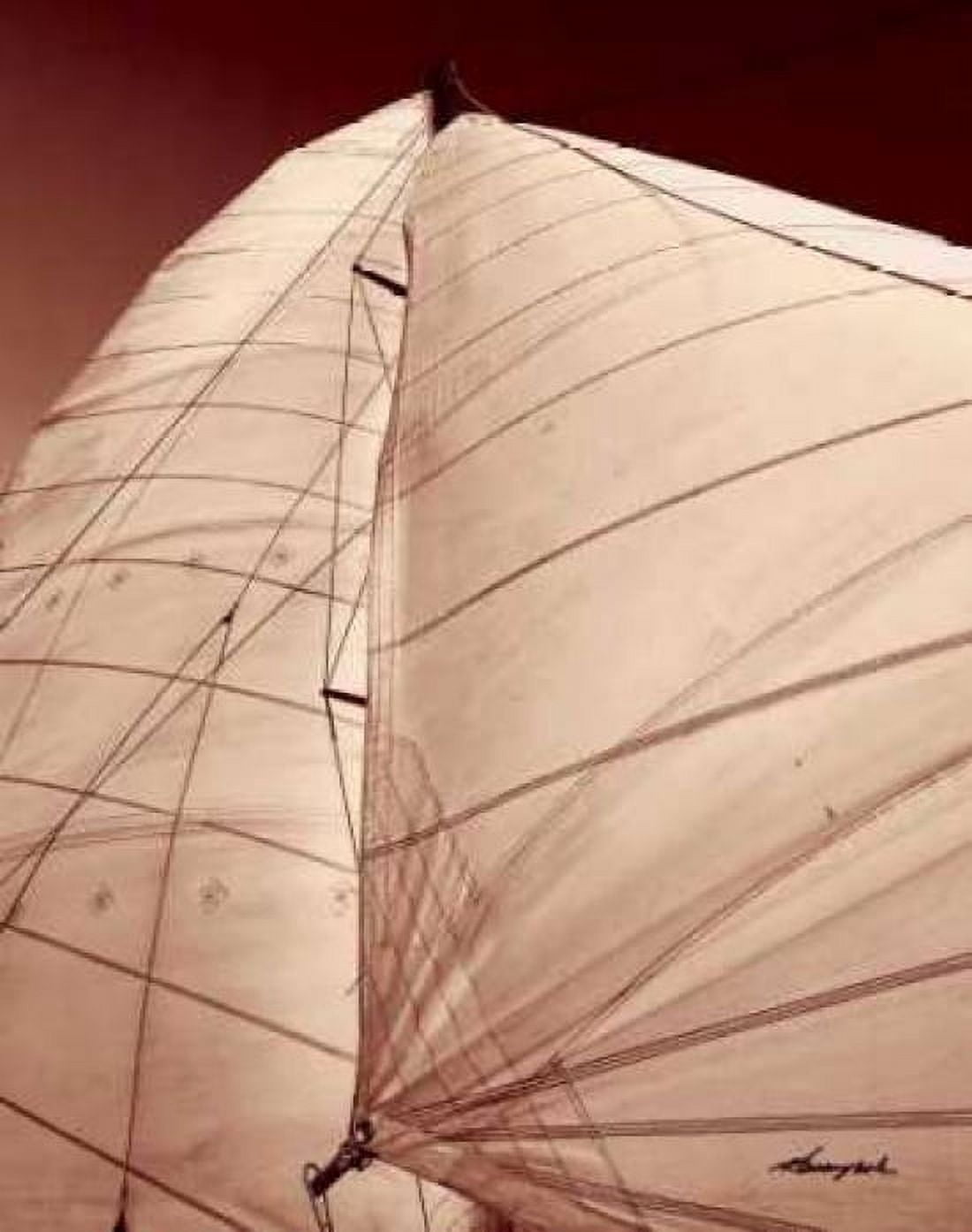 Windward Sail III Canvas Art - Alan Hausenflock (24 x 30)