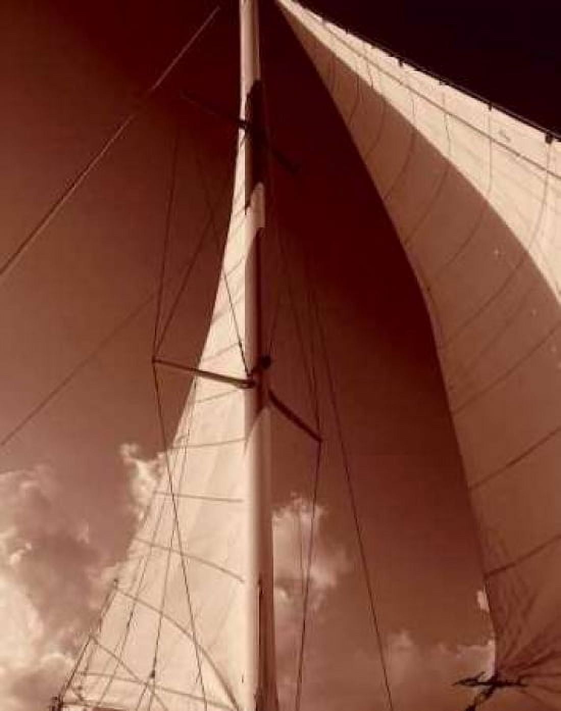 Windward Sail IV Canvas Art - Alan Hausenflock (24 x 30)