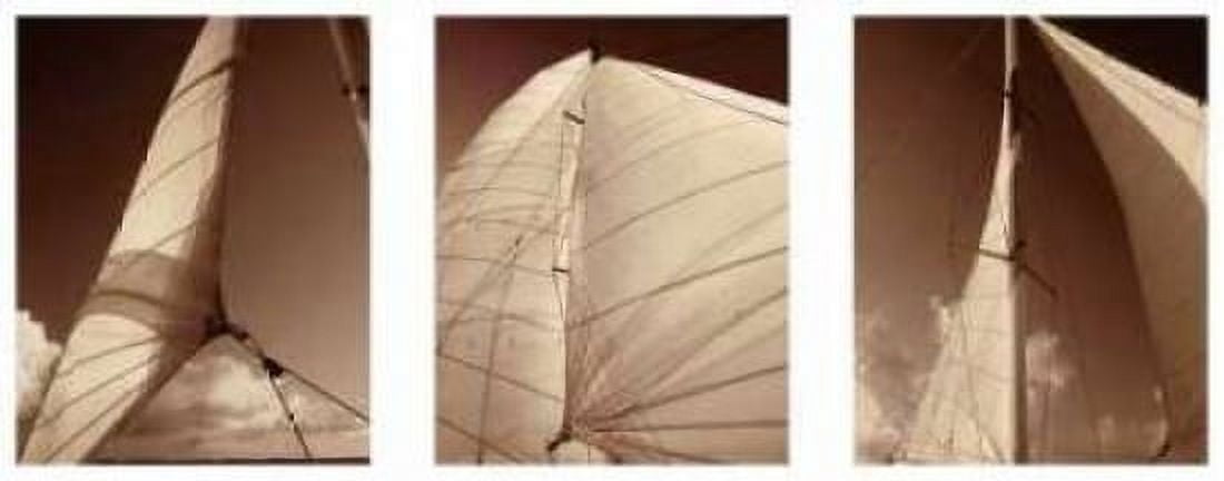 Windward Sails Triptych Canvas Art - Alan Hausenflock (10 x 20)