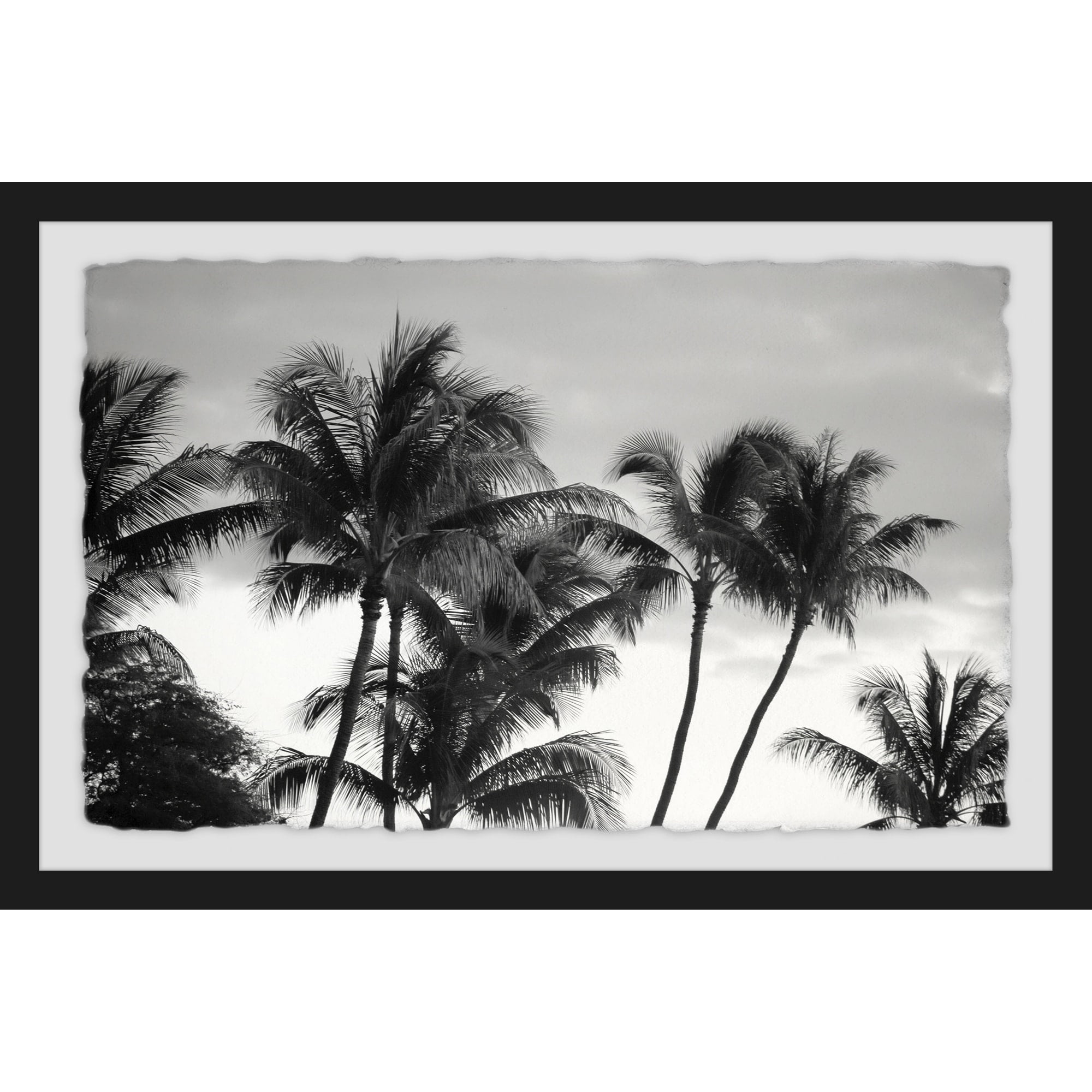 Windy Weather II Framed Painting Print
