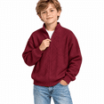 thumbnail image 1 of Wine Boys Waffle Knit Full Zip Sweatshirt Size 3-4 Years, Stand Collar Long Sleeve Jacket， Casual Athletic Tops for School Daily Wear Fall Spring Outfits, 1 of 8