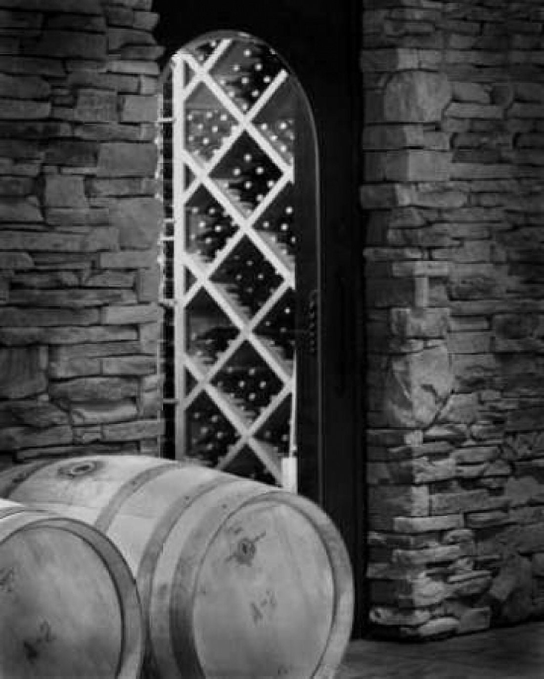 Wine Cellar I Canvas Art - Scott Larson (20 x 24)