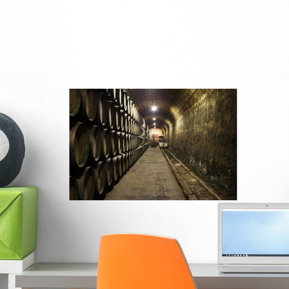 Wine Cellar Rioja Spain Wall Mural by Wallmonkeys Peel and Stick Graphic (18 in W x 12 in H) WM64984