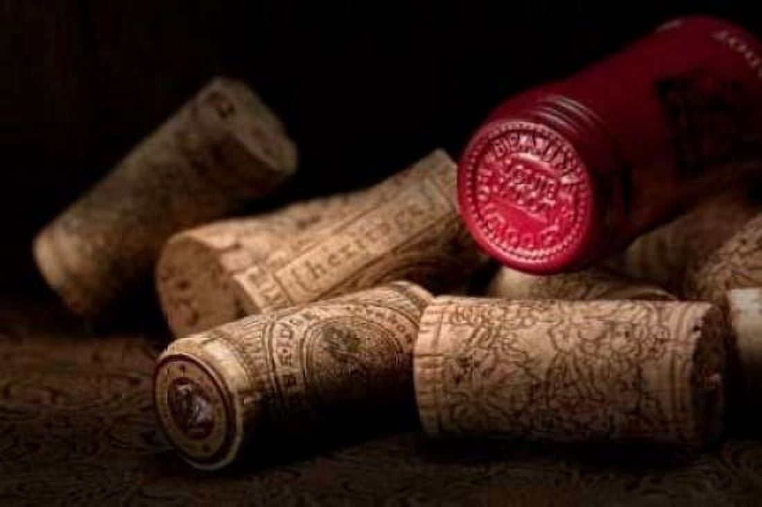 Wine Corks Still Life IV Canvas Art - C Thomas McNemar (24 x 36)