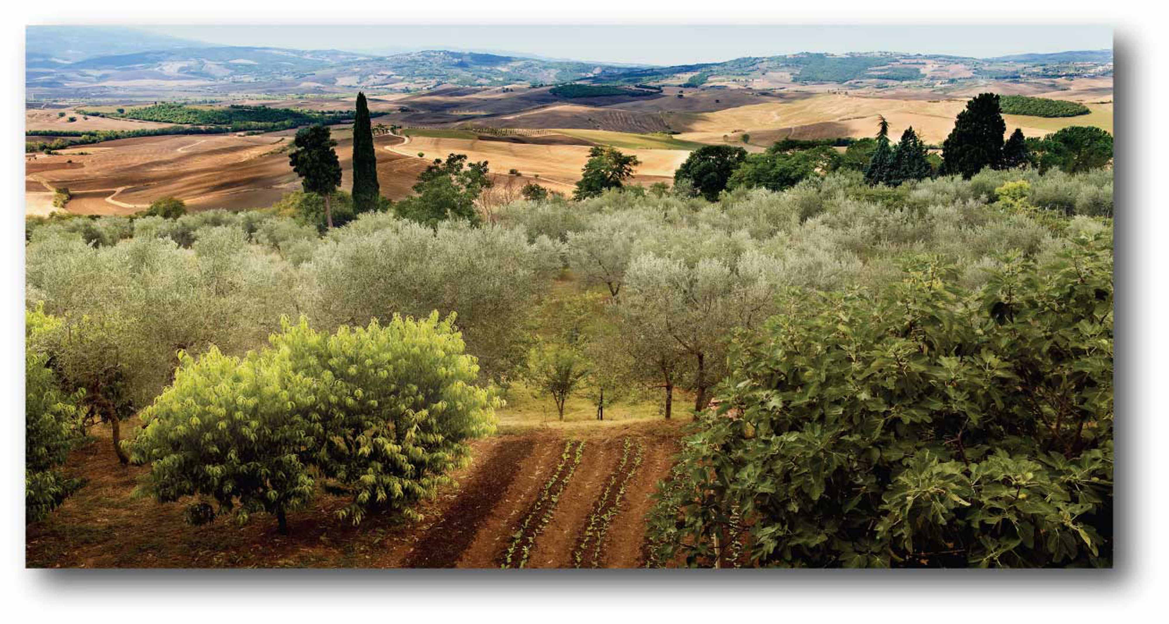 Wine Country I Gallery-Wrapped Canvas Wall Art, 12x24