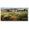 thumbnail image 1 of Wine Country I Gallery-Wrapped Canvas Wall Art, 12x24, 1 of 3