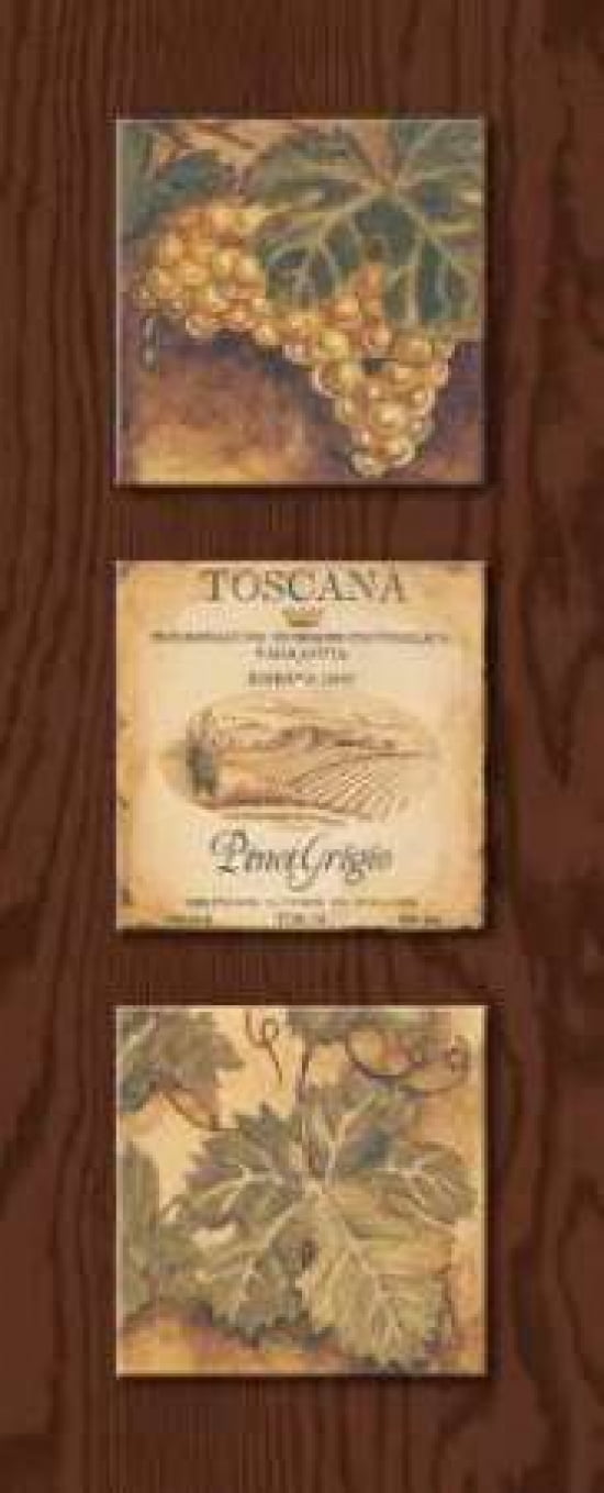Wine Country Panel I Canvas Art - Gregory Gorham (10 x 20)