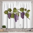 thumbnail image 1 of Wine Grapes Kitchen Curtains, Drinking Tasting Party Theme Fresh Purple Fruits on Plain Backdrop, Window Drapes 2 Panel Set for Kitchen Cafe Decor, 55" X 39", White Fern, 1 of 3