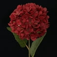 thumbnail image 1 of Wine Red Artificial Brushed Hydrangea – Real Latex Silk Flowers for Bridal Wedding Bouquet & Home Decor – Parfect for Back to sch00l & Elegant, 1 of 4