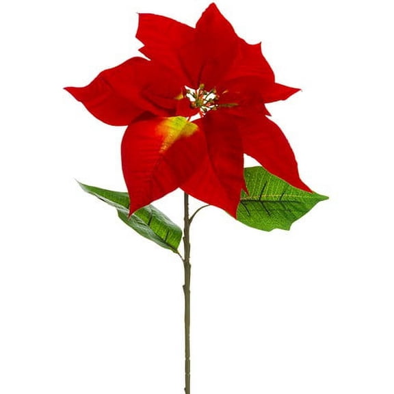 Wine Red Velvet Poinsettia 32in Artificial Polysilk Faux Greenery Fake Flower Spray for Craft Christmas Tree Winter Holiday Home Wedding Ceremony Wall Table Arch Aisle Decor (Red Burgundy, Set of 6)