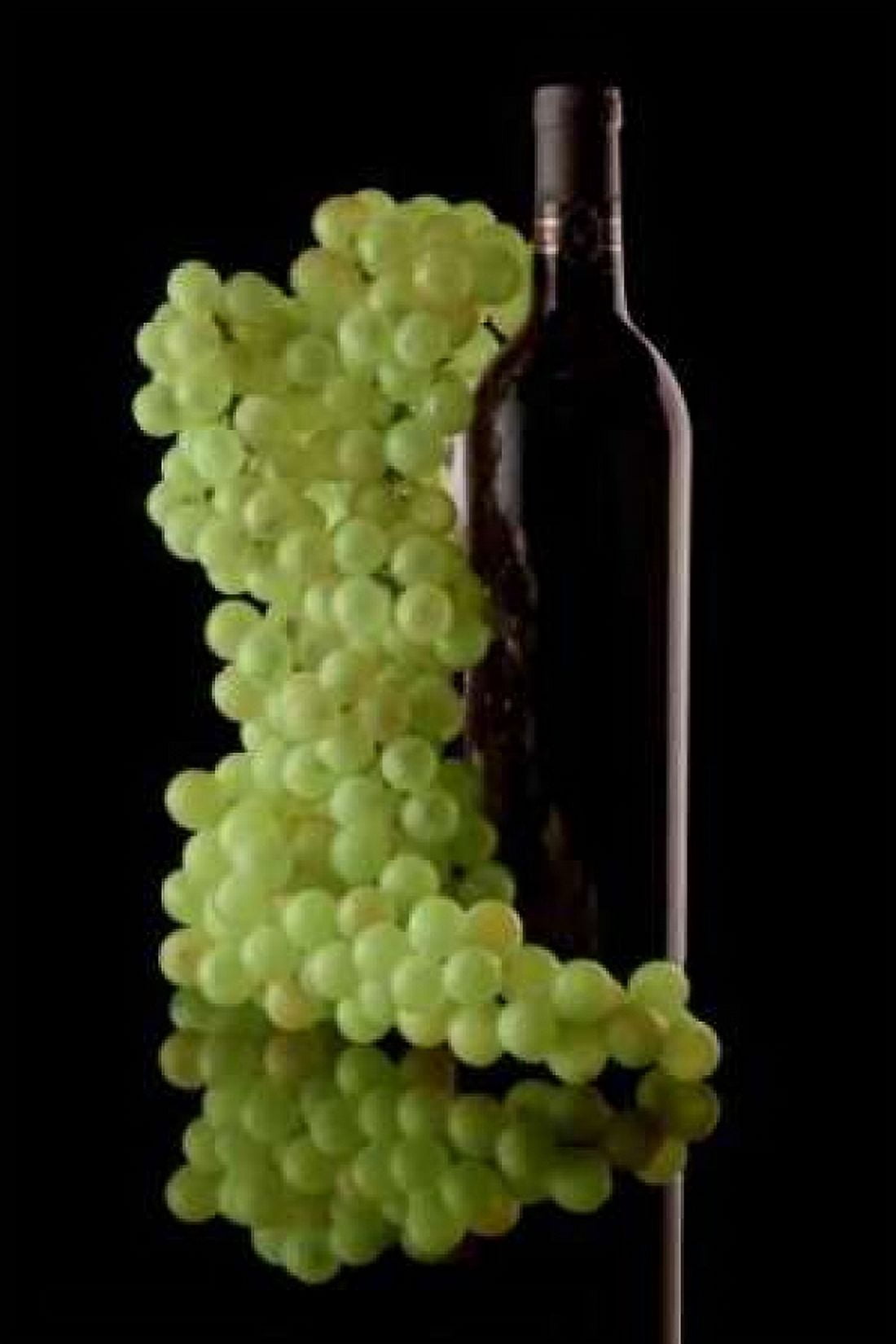 Wine Reflections III Canvas Art - C Thomas McNemar (12 x 18)