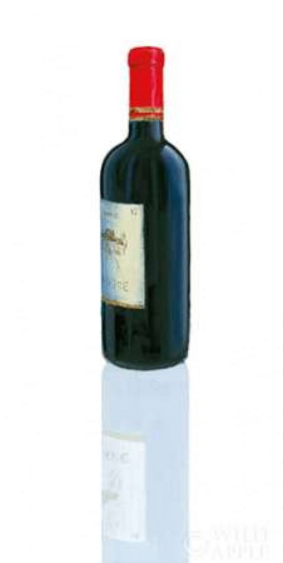 Wine Stance II Canvas Art - Marco Fabiano (10 x 20)