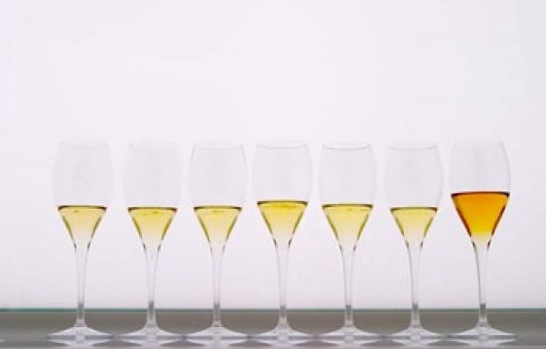 Wine Tasting Glasses Maison de la Champagne Canvas Art - Per Karlsson DanitaDelimont (27 x 17)