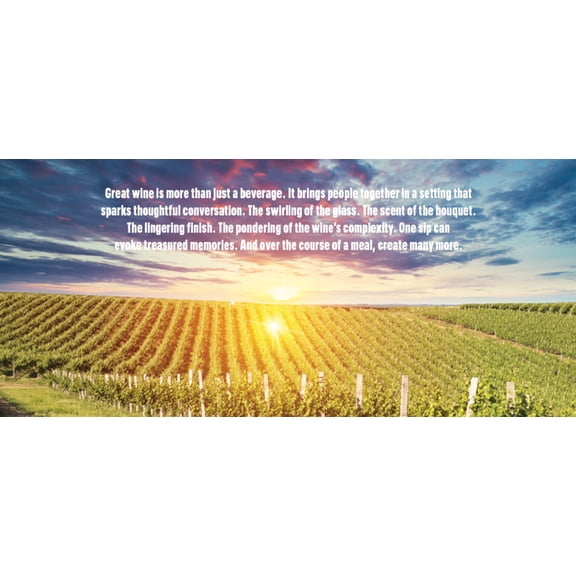 Wine Vineyard | Style B