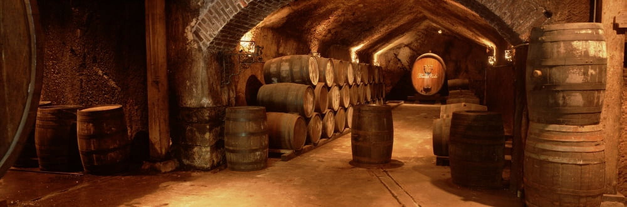 Wine barrels in a cellar Buena Vista Carneros Winery Sonoma Sonoma Valley Sonoma County California USA Canvas Art - Panoramic Images (27 x 9)