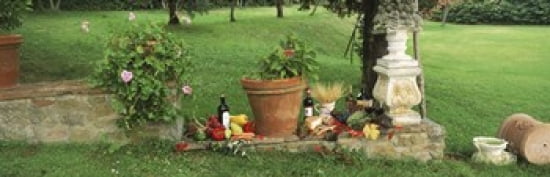 Wine grapes and foods of Chianti Region of Tuscany at private estate Italy Canvas Art - Panoramic Images (36 x 12)
