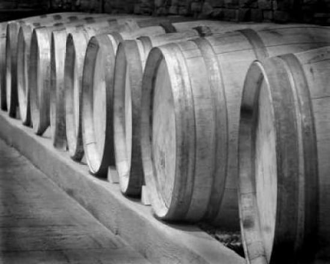 Winery I Canvas Art - Scott Larson (20 x 24)