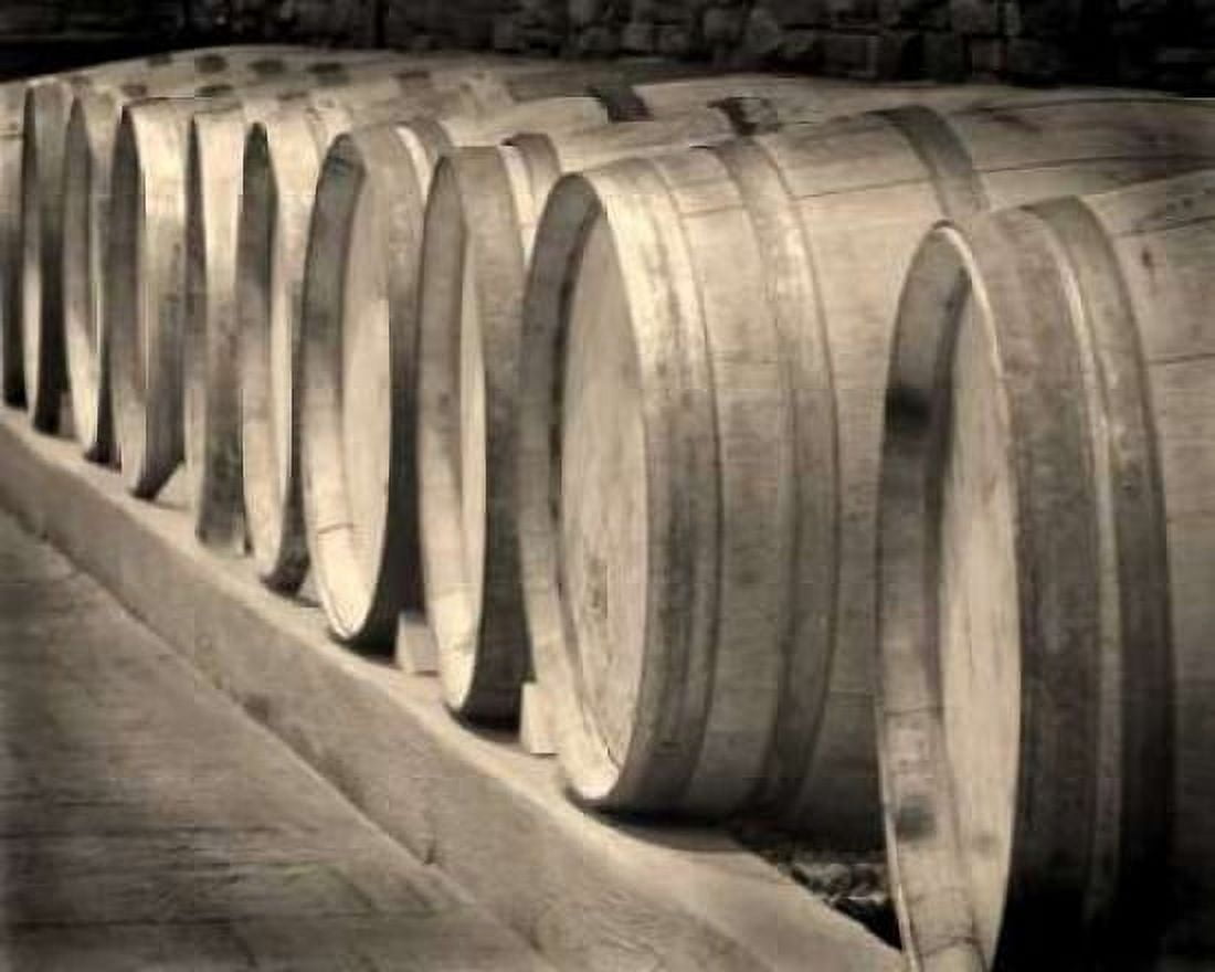 Winery II Canvas Art - Scott Larson (20 x 24)