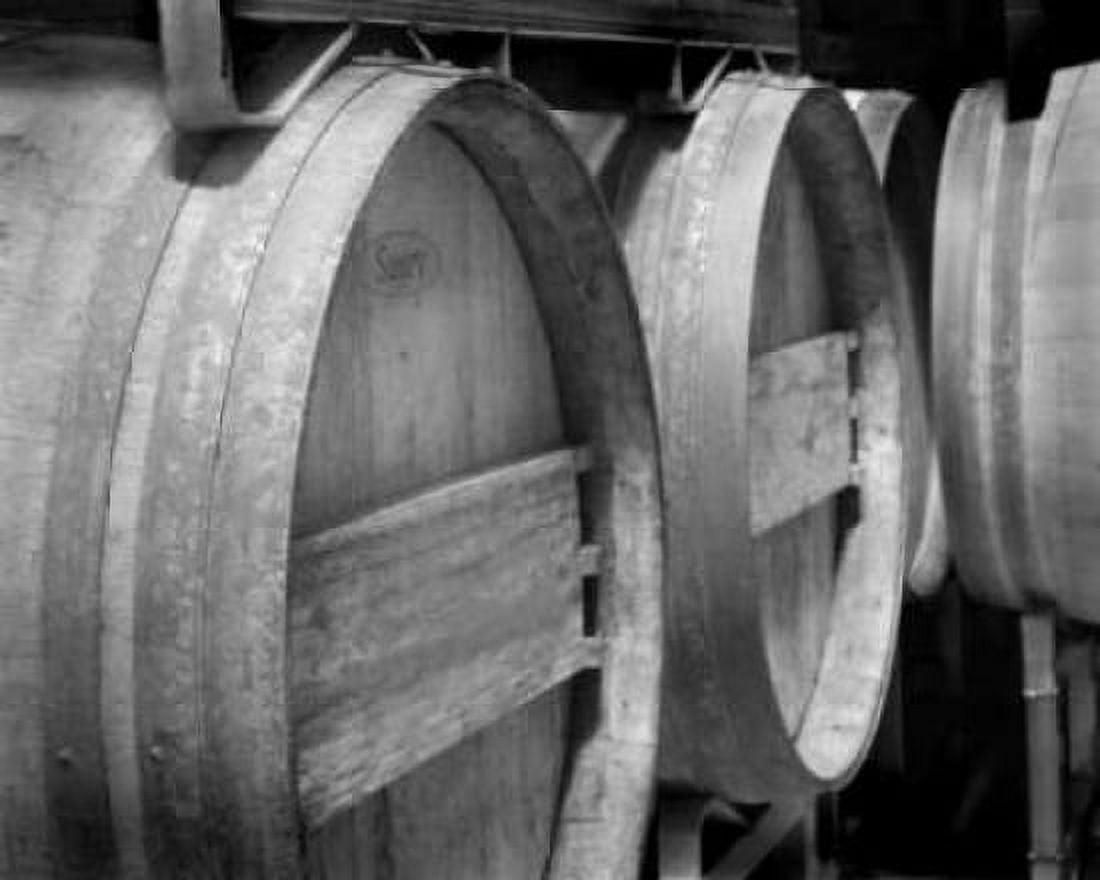 Winery IV Canvas Art - Scott Larson (20 x 24)