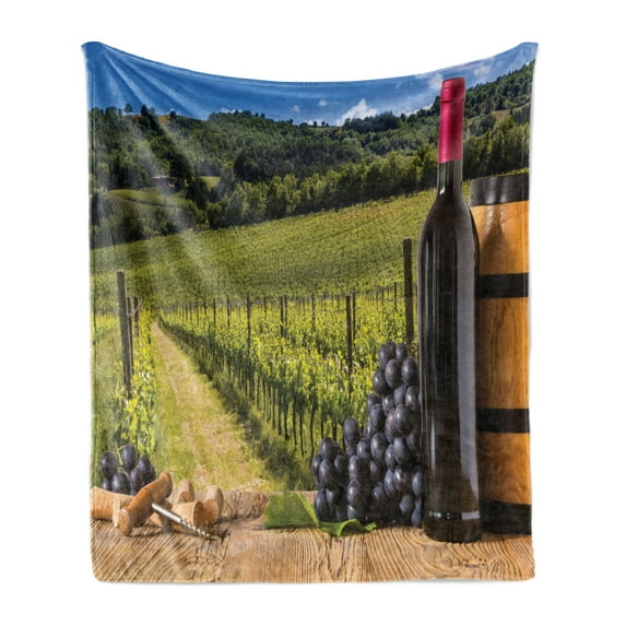 Winery Soft Flannel Fleece Blanket, Red Wine Bottles with Grapes on Timber Board Tuscany Italian Terrace Scenery, Cozy Plush for Indoor and Outdoor Use, 50" x 60", Green Blue Brown, by Ambesonne