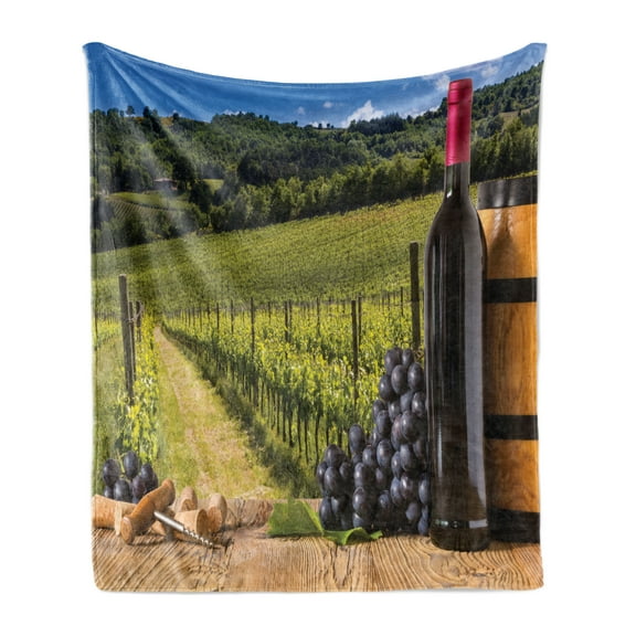Winery Soft Flannel Fleece Blanket, Red Wine Bottles with Grapes on Timber Board Tuscany Italian Terrace Scenery, Cozy Plush for Indoor and Outdoor Use, 60" x 80", Green Blue Brown, by Ambesonne