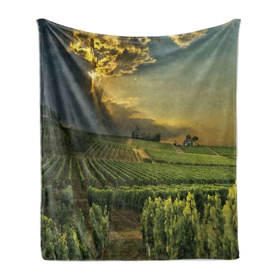 Winery Soft Flannel Fleece Blanket, Sunset over the Vineyards of the South of France Sunbeams Cloudscape Picture, Cozy Plush for Indoor and Outdoor Use, 70" x 90", Green Yellow Grey, by Ambesonne