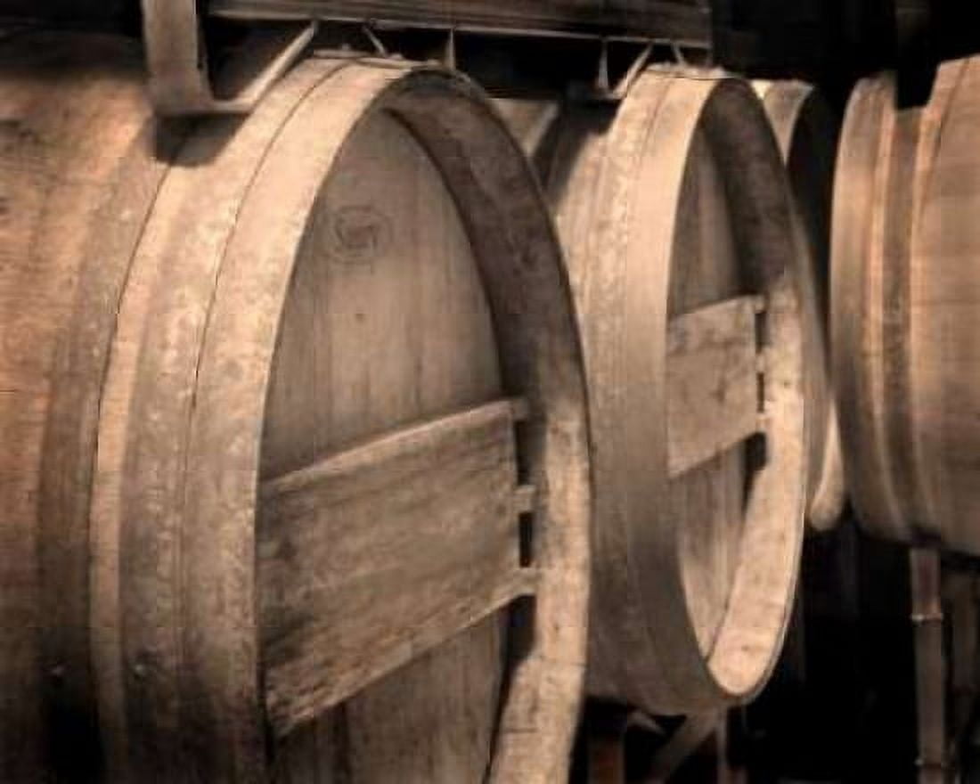 Winery V Canvas Art - Scott Larson (20 x 24)