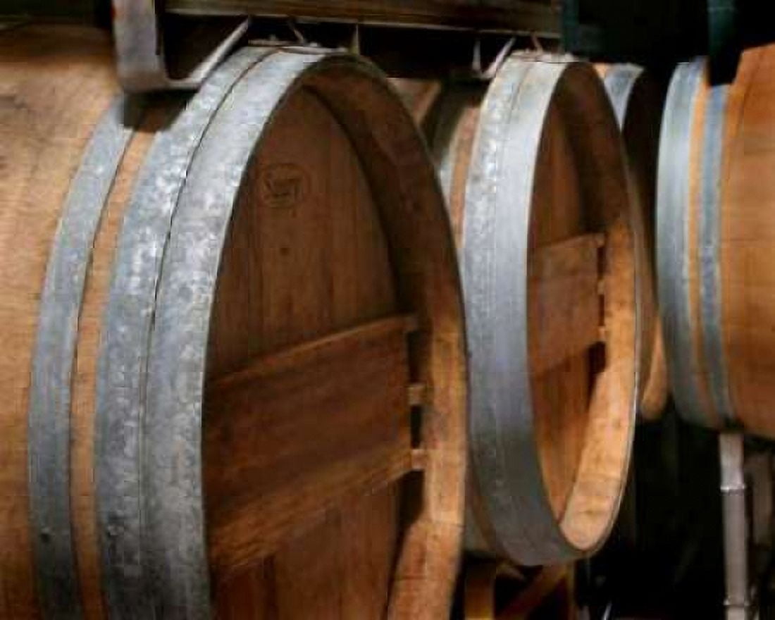 Winery VI Canvas Art - Scott Larson (20 x 24)