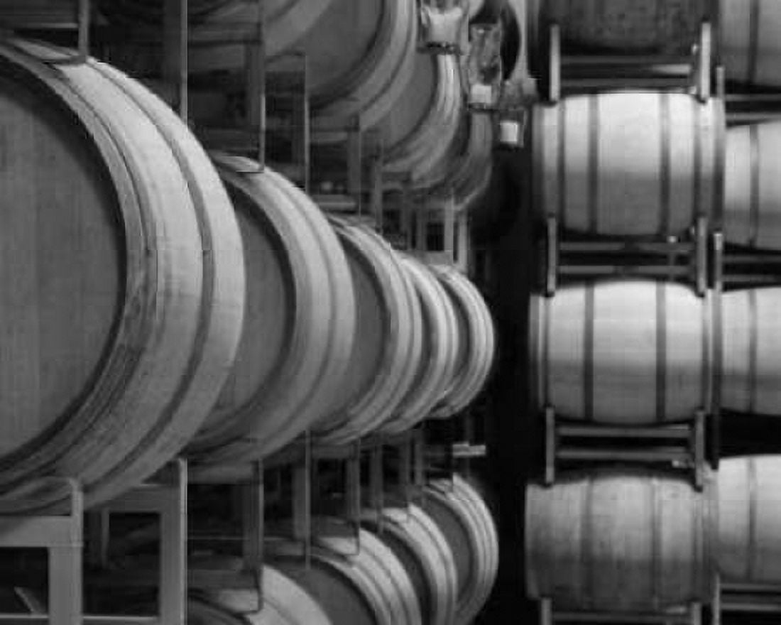 Winery VIII Canvas Art - Scott Larson (20 x 24)