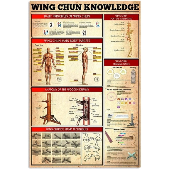 Wing Chun Knowledge Metal Signs Wall Decor Wing Chun Study Guide Tin Poster Wing Chun Martial Arts Education Home Club Farmhouse Typographic Plaque 8x12 inches