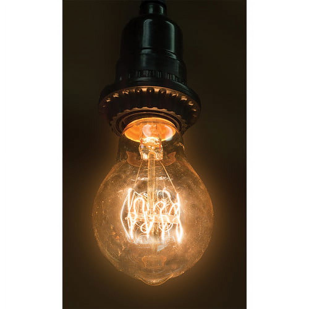 Wing Tai Trading 40W Tan Glass 130Volt Light Bulb