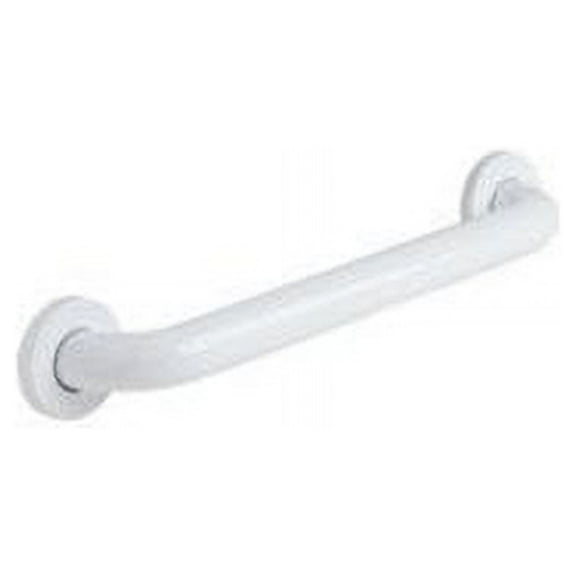 Polyester Painted Grab Bar, 12" L, Stainless Steel, Poly Painted