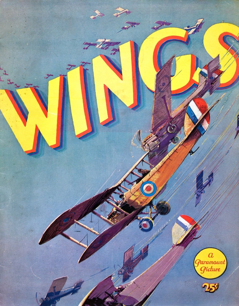 Wings Canvas Art - (16 x 20)