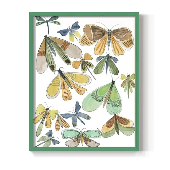 Wings Galore II Framed Print - Solid Wood in Single Picture Frame Solid Wood 2 Framed Print