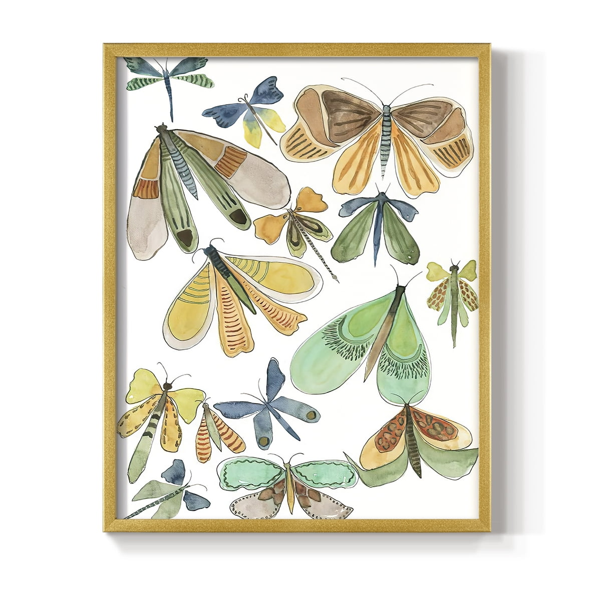 Wings Galore II Framed Print - Solid Wood in Single Picture Frame Solid Wood 2 Framed Print