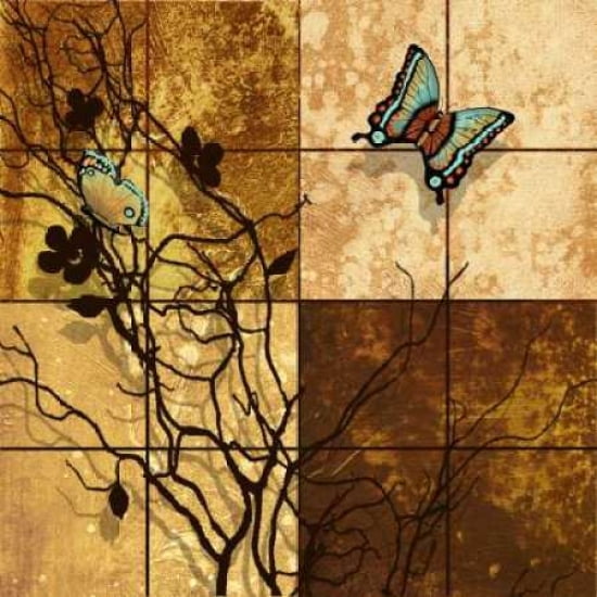 Wings II Canvas Art - Steve Butler (24 x 24)