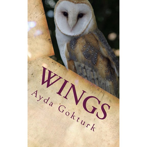 Wings: If I could only fly (Paperback)