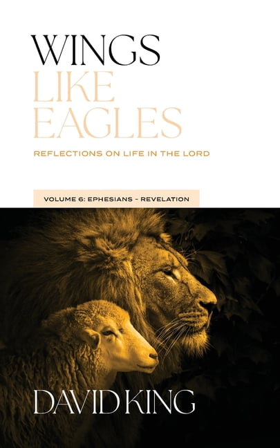Wings Like Eagles: Reflections on Life in the Lord Volume 6: Ephesians-Revelation (Paperback)