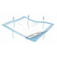 thumbnail image 1 of Wings Plus Breathable Underpads, Heavy Absorbency, 23 Inches x 36 Inches, 12 Count, 1 of 1