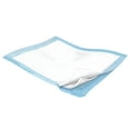 thumbnail image 1 of Wings Plus Disposable Underpad Heavy Absorbency Fluff / Polymer 23X36" 7194 75 pads, 1 of 2