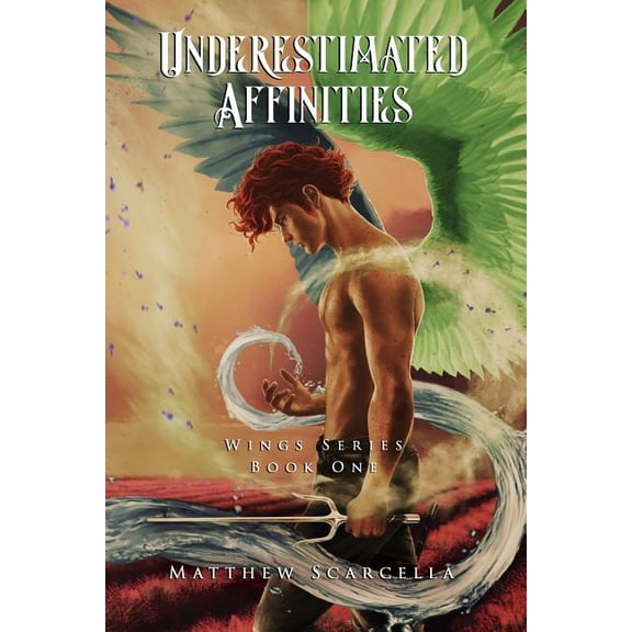 Underestimated Affinities: Cover Option 2 Wings Series Paperback 1072565595 9781072565598 Matthew Scarcella