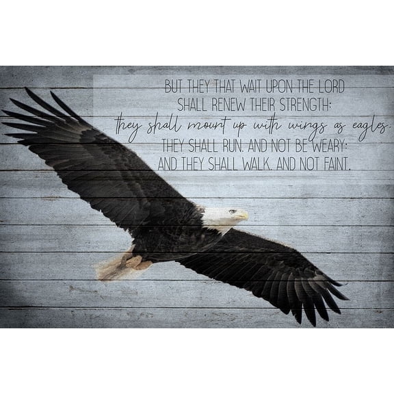 Wings as Eagles Poster Print by Allen Kimberly