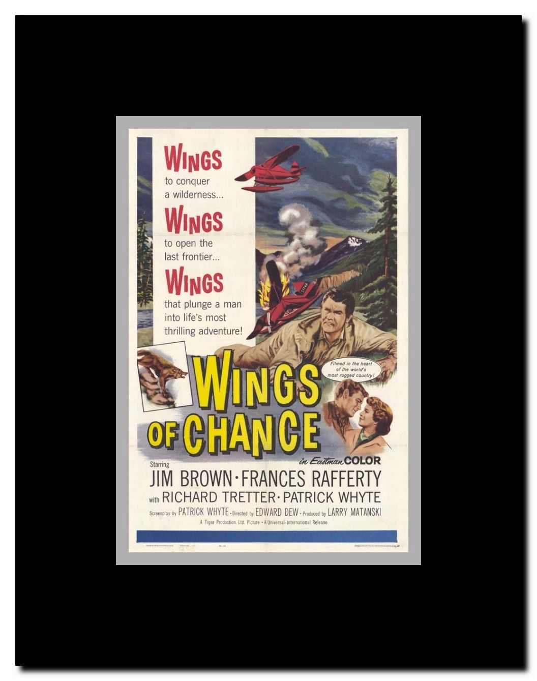 Wings of Chance Framed Movie Poster