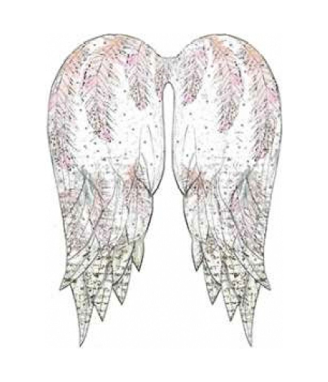 Wings with Pink Feathers Canvas Art - Sarah Ogren (24 x 24)