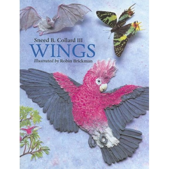 Pre-Owned Wings (Paperback) 1570916128 9781570916120