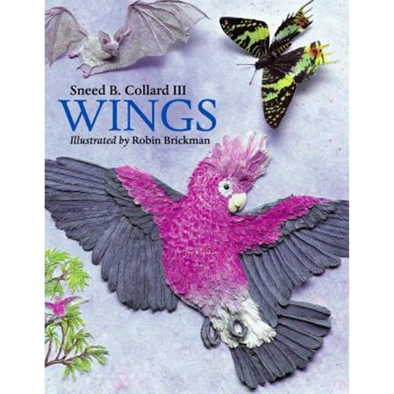 Pre-Owned Wings (Paperback) 1570916128 9781570916120